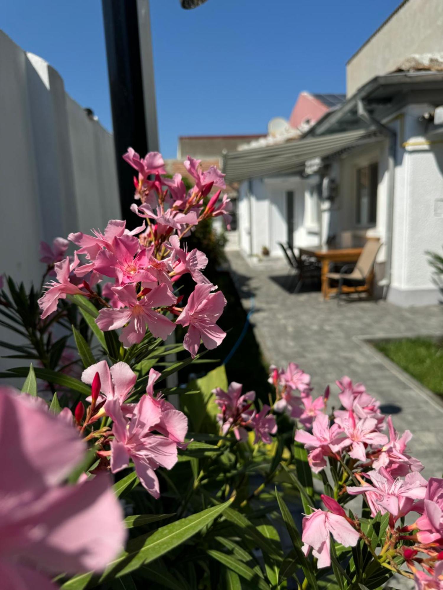 Villa Nord 22 Constanţa Exterior foto
